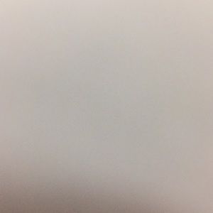 Meet your Posher, Adele